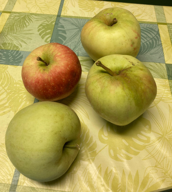 4 apples